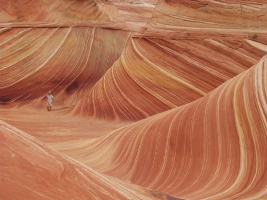 The Wave
