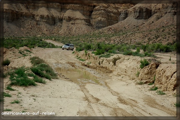 comp_DSC_2528.jpg