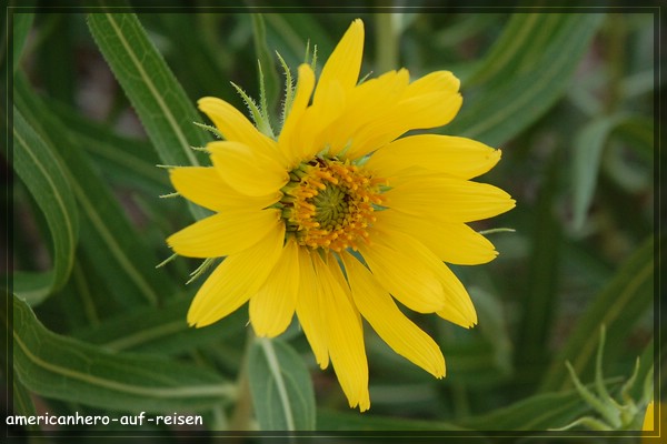 comp_DSC_2682.jpg