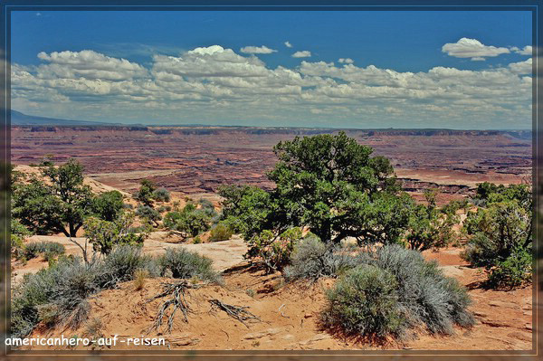 comp_DSC_5956.jpg