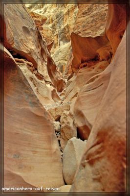 comp_DSC_5013.jpg