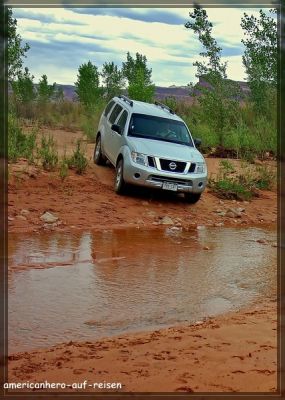 comp_DSC_6202.jpg