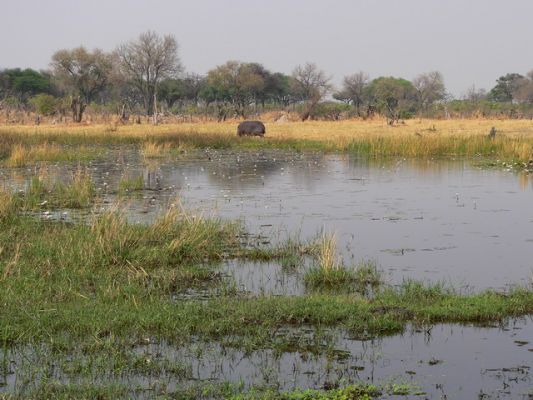 0310_Kwai_River.jpg
