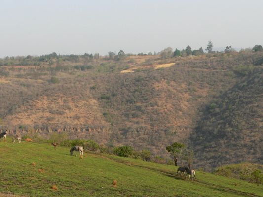 0509_Umgeni.jpg