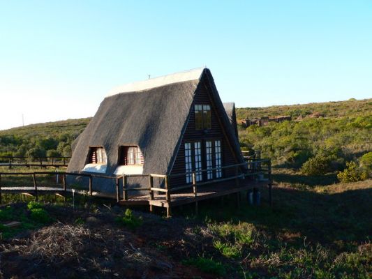 1009_Buchu_Bushcamp.jpg