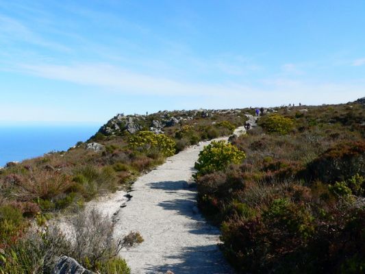 1409_TB_Weg.jpg