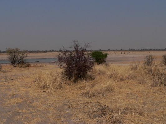 2509_CKGR_Wasserloch.jpg