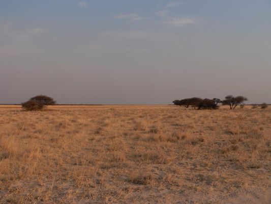 2509_Landschaft.jpg