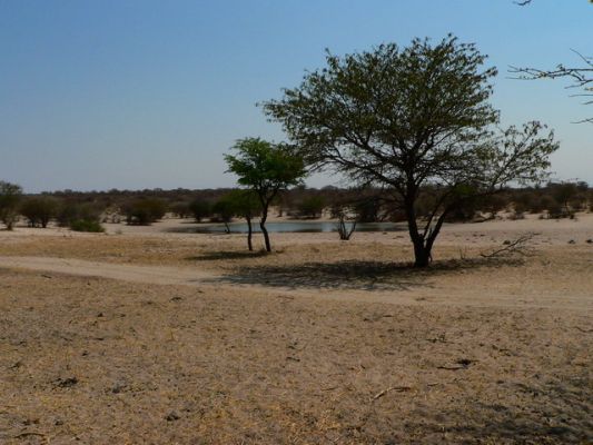 2509_Wasserloch_G.jpg