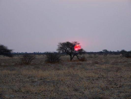 2609_SU.jpg