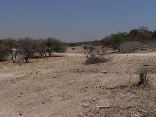 2809_Boteti_River.jpg