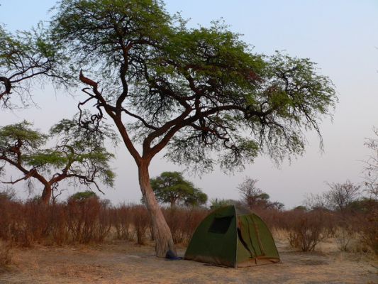 2909_Nxai_Camp.jpg