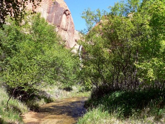 Calf Creek2.jpg