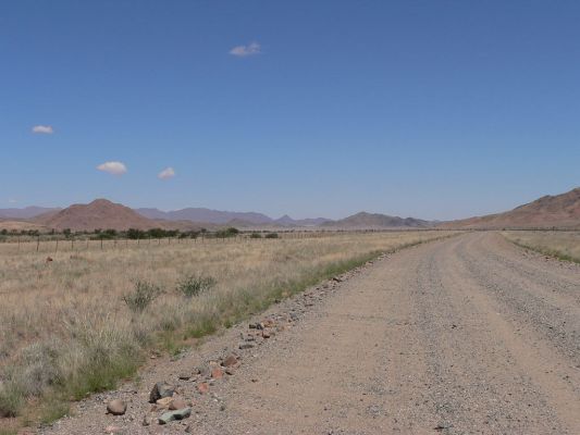 D707a.jpg