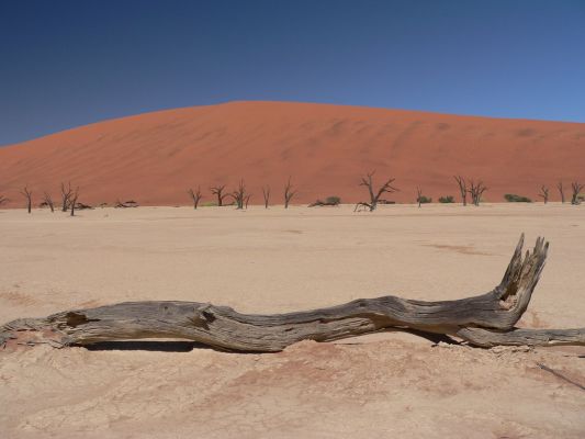 Dead_Vlei14.jpg