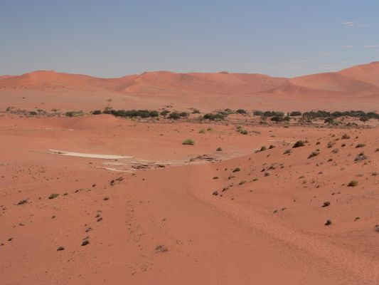 Dead_Vlei15.jpg