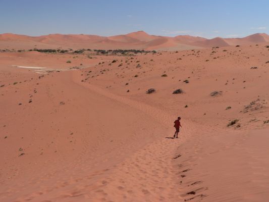 Dead_Vlei16.jpg