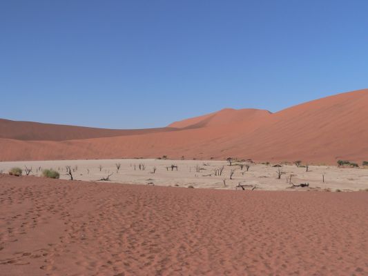 Dead_Vlei2.jpg
