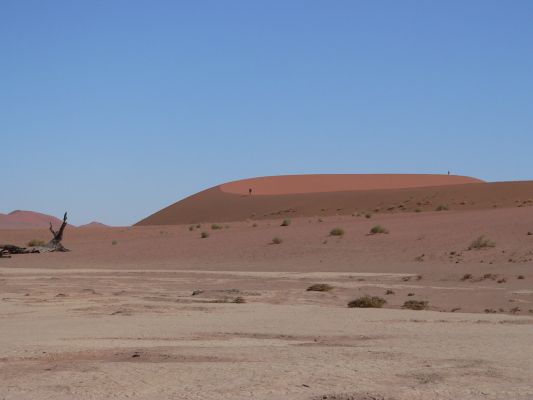Dead_Vlei5.jpg