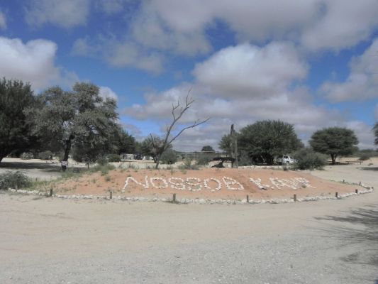 Nossob.JPG