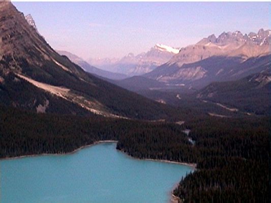 Peyto Lake
