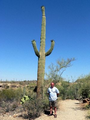 Saguaro 1.jpg