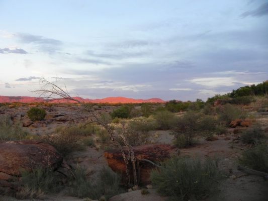 Sonnenuntergang.JPG