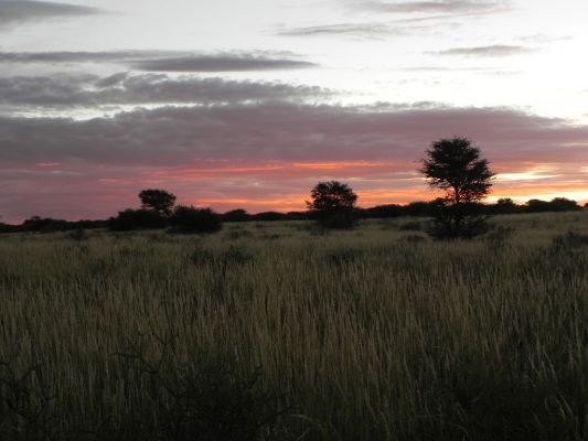Sonnenuntergang2~0.JPG