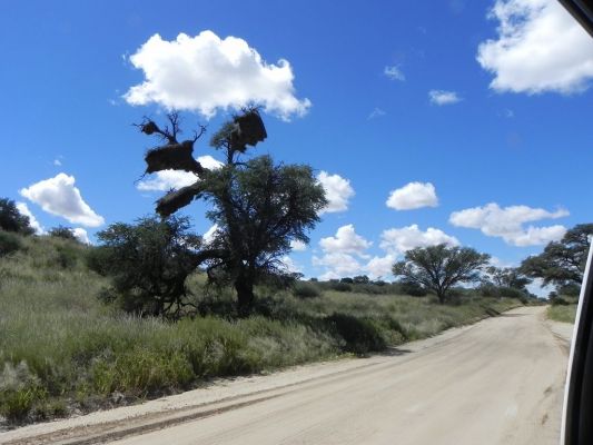 entlang_der_Dune_Road.JPG