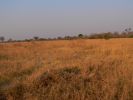 0310_Landschaft_Savuti.jpg