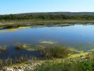 1109_Lagune_3.jpg