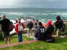 1209_Hermanus_whale_watching.jpg