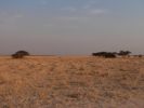 2509_Landschaft.jpg
