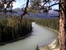 Bow_River_2.jpg