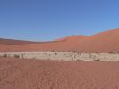 Dead_Vlei2.jpg