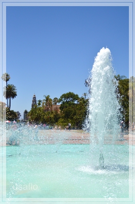 1comp_DSC_0018a.jpg