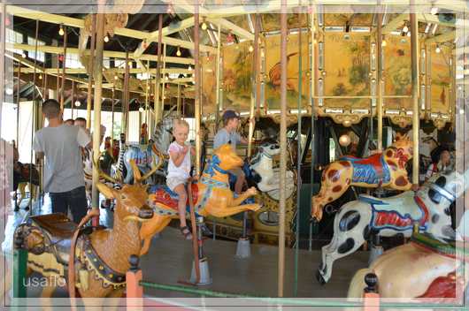 1comp_DSC_0025.jpg