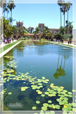 1comp_DSC_0028a.jpg