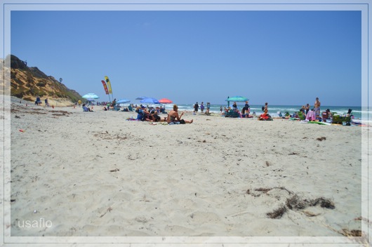 1comp_DSC_0073.jpg