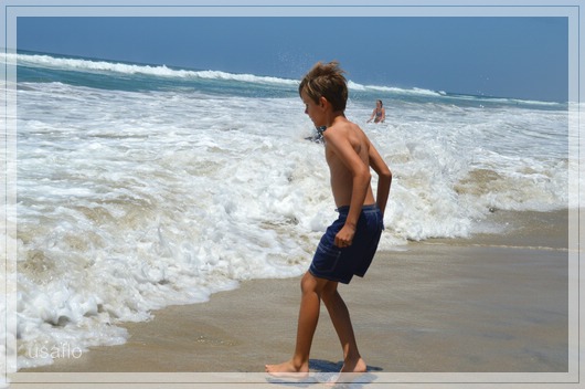 1comp_DSC_0089.jpg