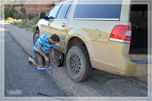 1comp_DSC_0478.jpg