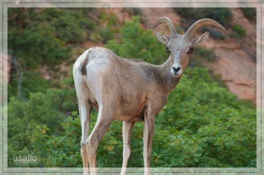 1comp_DSC_0664.jpg