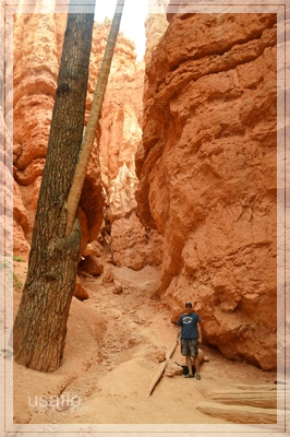 1comp_DSC_0678a.jpg