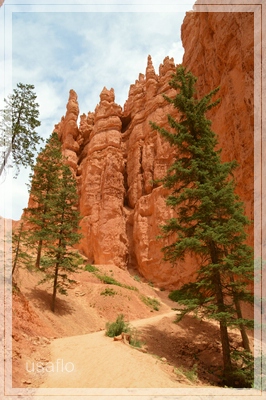 1comp_DSC_0698a.jpg