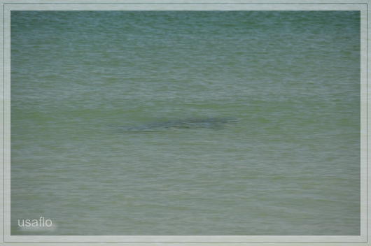 1comp_DSC_0904.jpg