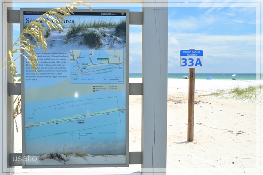 1comp_DSC_0966b.jpg