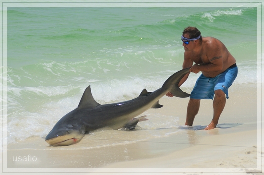 1comp_DSC_1045~0.jpg