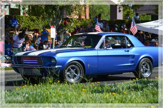 1comp_DSC_1085.jpg