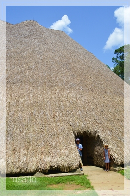1comp_DSC_1222~0.jpg
