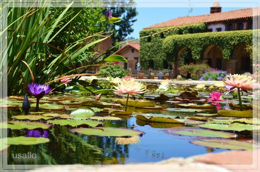 1comp_DSC_1293.jpg
